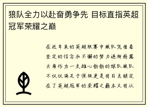 狼队全力以赴奋勇争先 目标直指英超冠军荣耀之巅