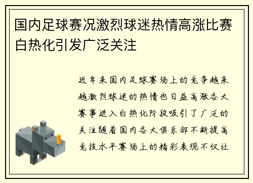 国内足球赛况激烈球迷热情高涨比赛白热化引发广泛关注