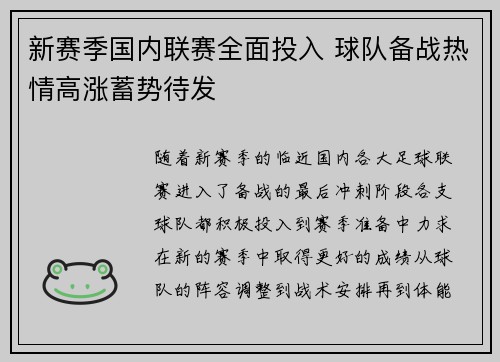 新赛季国内联赛全面投入 球队备战热情高涨蓄势待发