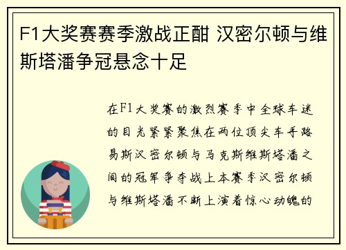 F1大奖赛赛季激战正酣 汉密尔顿与维斯塔潘争冠悬念十足